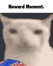 a picture of a cat with the words howard moment written below it