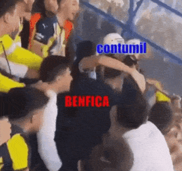 a group of people sitting in a stadium with the word benfica on the bottom