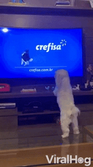 a dog standing on its hind legs in front of a tv screen that says crefisa on it
