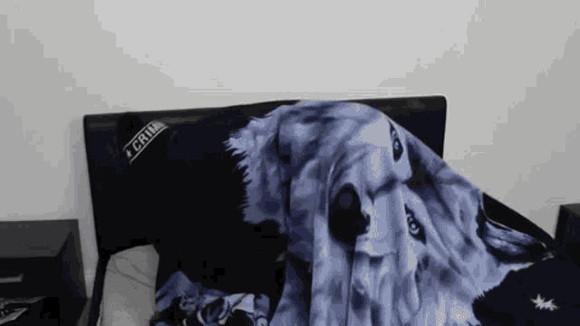 a person is laying on a bed with a blanket that looks like a wolf .