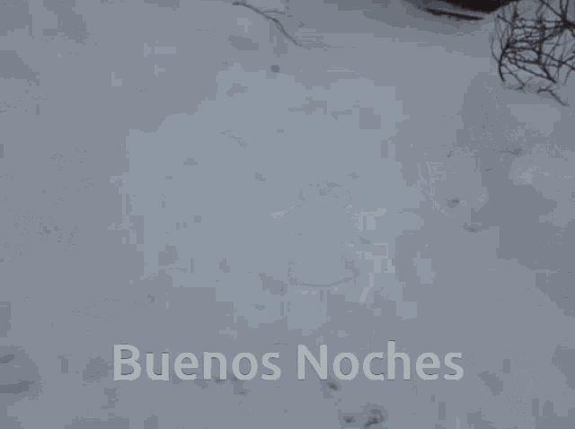 a picture of a person in the snow with the words buenos noches on the bottom