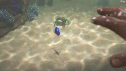 Scared GIF - Finding Dory Dory Scared GIFs