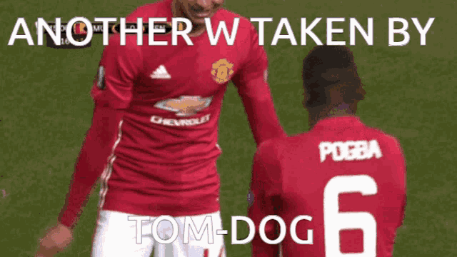 Ncbcatommy Wommy GIF