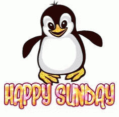 Happy Sunday Penguin GIF - Happy Sunday Penguin Cute GIFs