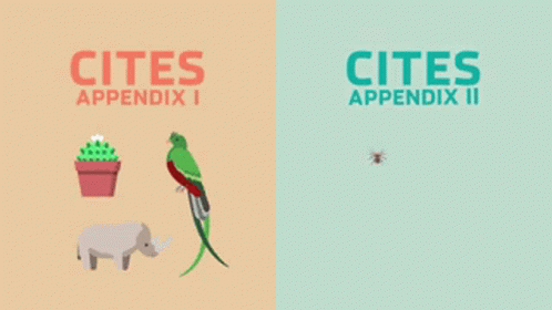 Cites Appendix I GIF - Cites Appendix I Appendix Ii GIFs