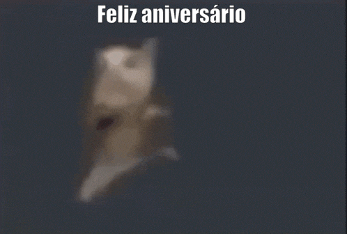 a blurred image of a cat with the words feliz aniversario written above it