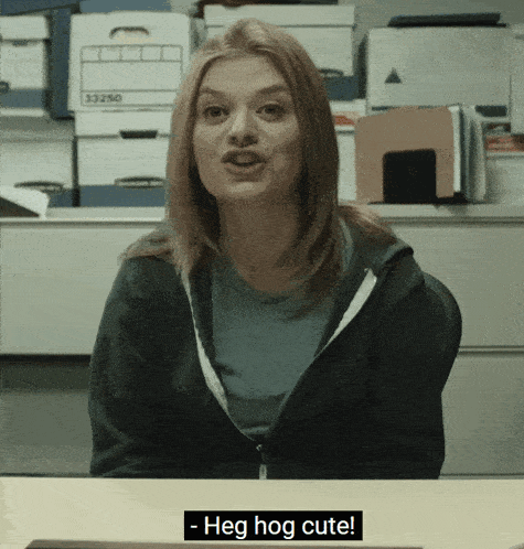 Hedgehog Cute GIF - Hedgehog Cute College Humour GIFs