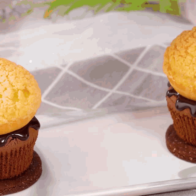 two cupcakes on a white plate with chocolate icing on top