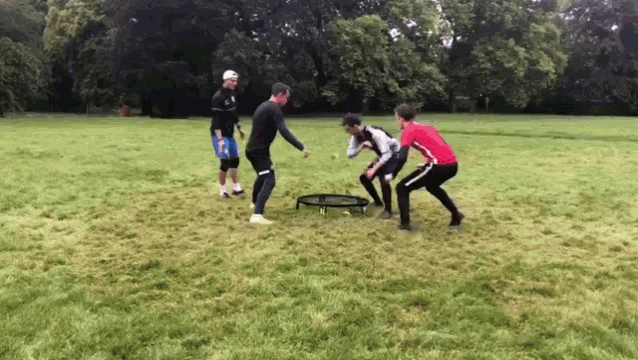 a group of people playing a game in a field