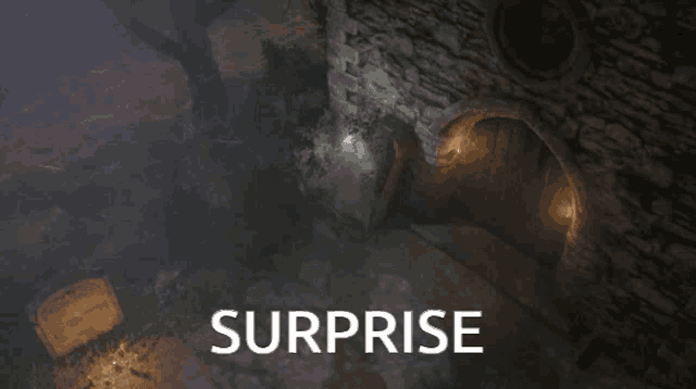 a screenshot of a video game with the word surprise on the bottom