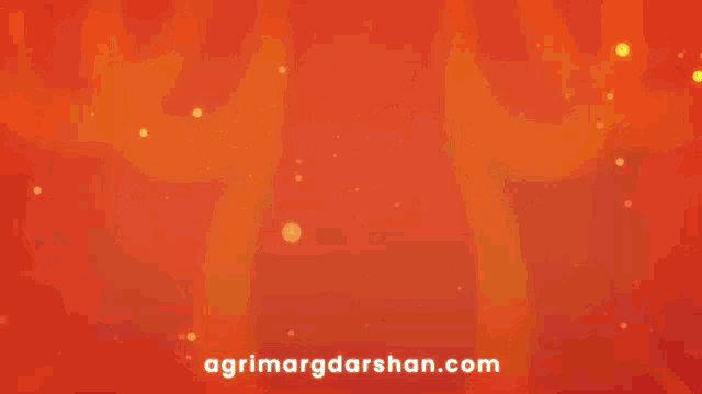 Diwali Dipawali GIF - Diwali Dipawali Deepawali GIFs