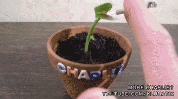 Deal With It: Charlie The Smoking Plant GIF - Flower Flytrap Chill GIFs
