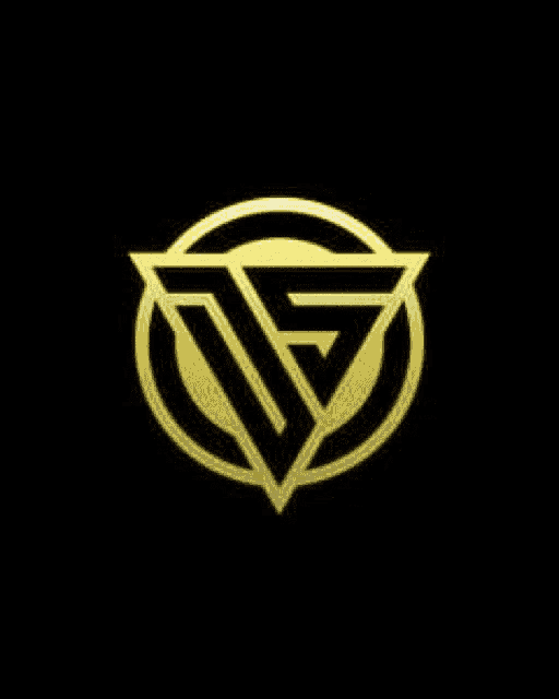 a black and white logo with a triangle in the middle of a circle