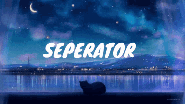 a cat sits in front of a window with the word separator written on it