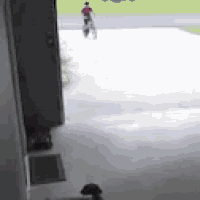 a duck is standing in front of a garage door with a man walking in the background .