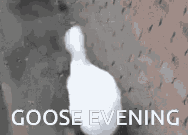 Goose Evening Goose GIF - Goose Evening Goose Evening GIFs