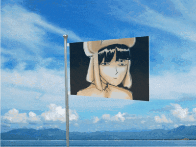 a flag with a picture of a girl in a cowboy hat