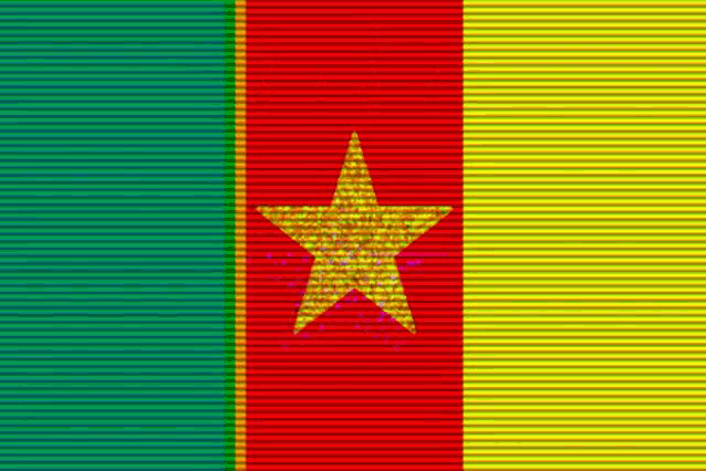 a red green and yellow flag with a gold star on it