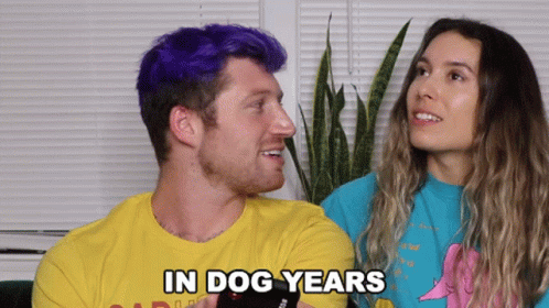 In Dog Years Not In Human Years GIF - In Dog Years Not In Human Years Old By Dog Years GIFs