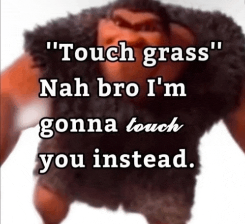 a picture of a stuffed animal with a caption that says " touch grass "