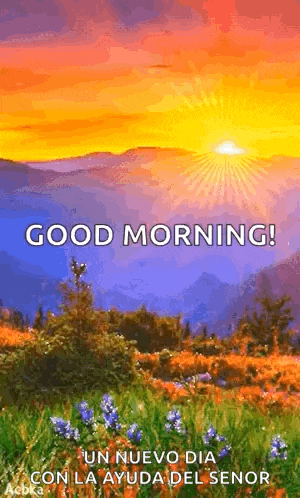 a good morning greeting card with a sunset over a field of flowers