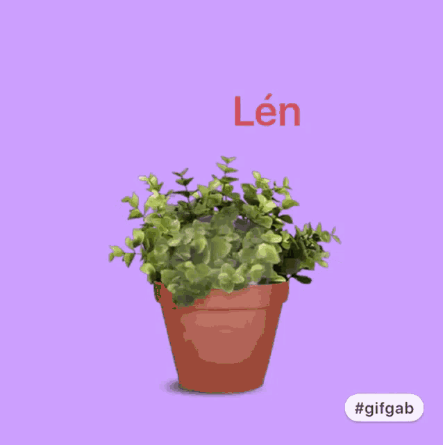 a potted plant with a woman 's face in it and the hashtag #gifgab