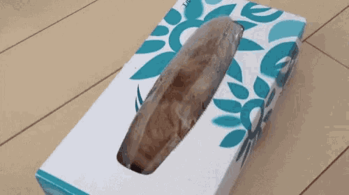 a tissue box with a hole in it on a wooden floor