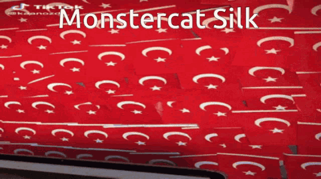 monstercat silk is written on a red wall behind a door