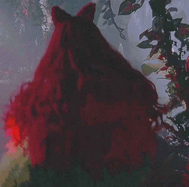 a close up of a person 's head with red hair and ears
