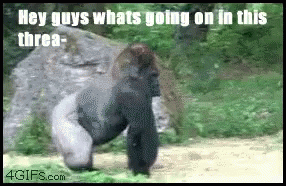 Nope Gorilla GIF - Nope Gorilla Run GIFs
