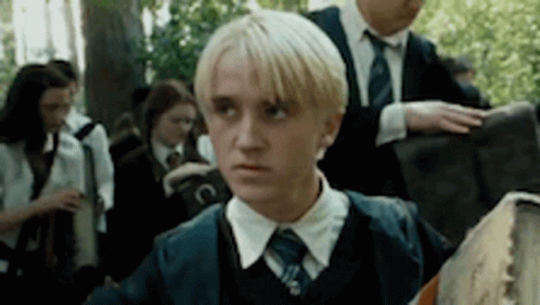Draco Malfoy Harry Potter GIF - Draco Malfoy Harry Potter Judging You GIFs