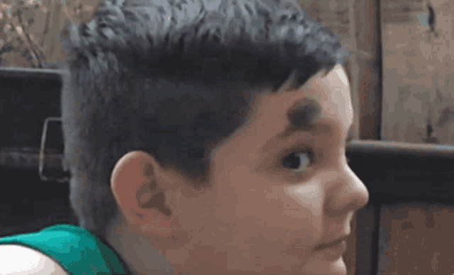a young boy with a black eyebrow looks at the camera