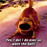 Dug Want The Ball GIF - Dug Want The Ball Play GIFs