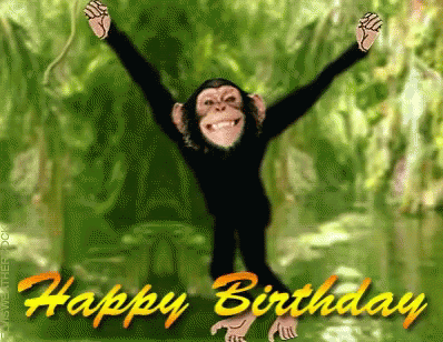 Happy Birthday Monkey GIF - Happy Birthday Monkey GIFs