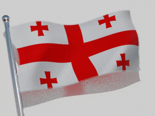 Georgia Flag GIF - Georgia Flag Flag Waver GIFs