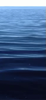 água GIF - Sea Ocrean GIFs