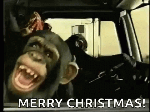 Monkey Merry Christmas GIF - Monkey Merry Christmas GIFs