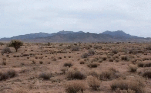 Desert Deserts GIF - Desert Deserts GIFs