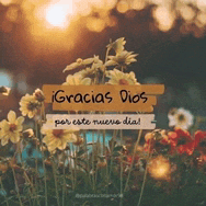 a picture of flowers with a sign that says gracias dios