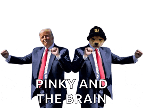 pinky and the brain is written on a white background