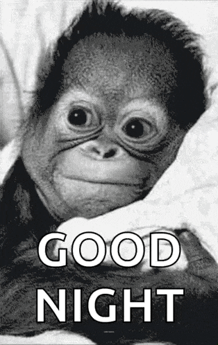a black and white photo of a baby monkey with the words `` good night '' written on it .