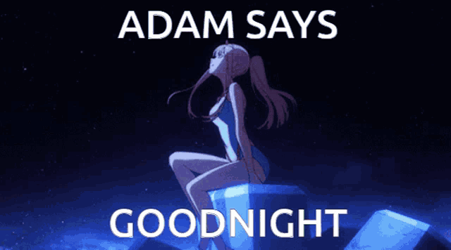 a poster that says adam says goodnight with a girl