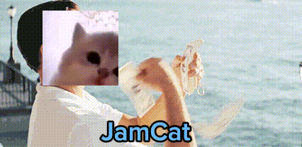 a man is sitting on the beach with a picture of a cat in front of his face and the words jamcat written below him .