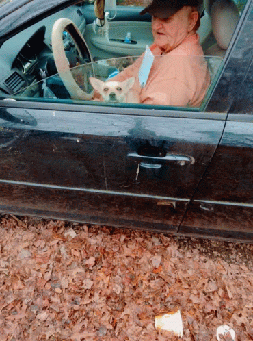 an elderly woman is sitting in a car with a small dog