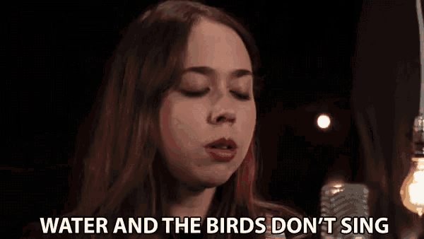 a woman singing into a microphone with the words water and the birds don 't sing above her