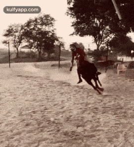 a man is riding a horse on a dirt field .