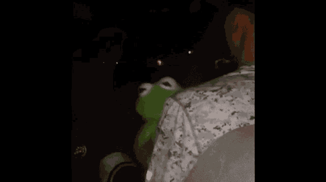 Kermit Usher GIF - Kermit Usher GIFs
