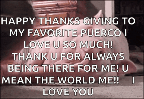 a picture of a pig with the words happy thanks giving to my favorite puerco i love u so much !