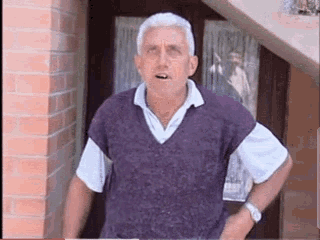 a man wearing a purple vest and white shirt stands in front of a brick wall