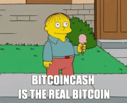 Bitcoin Cash Bch GIF - Bitcoin Cash Bch Bcash GIFs